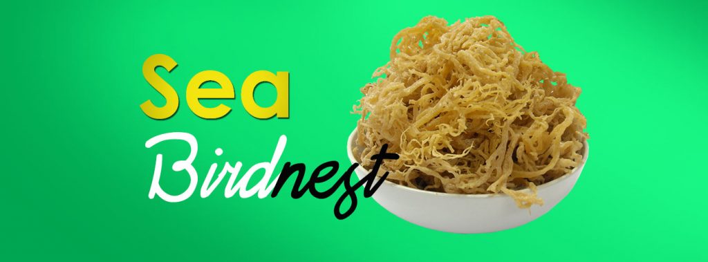 Sea Birdnest | SCS Food Manufacturing Sdn Bhd | Foods & Beverage Manufacturer, Distributor & Exporter